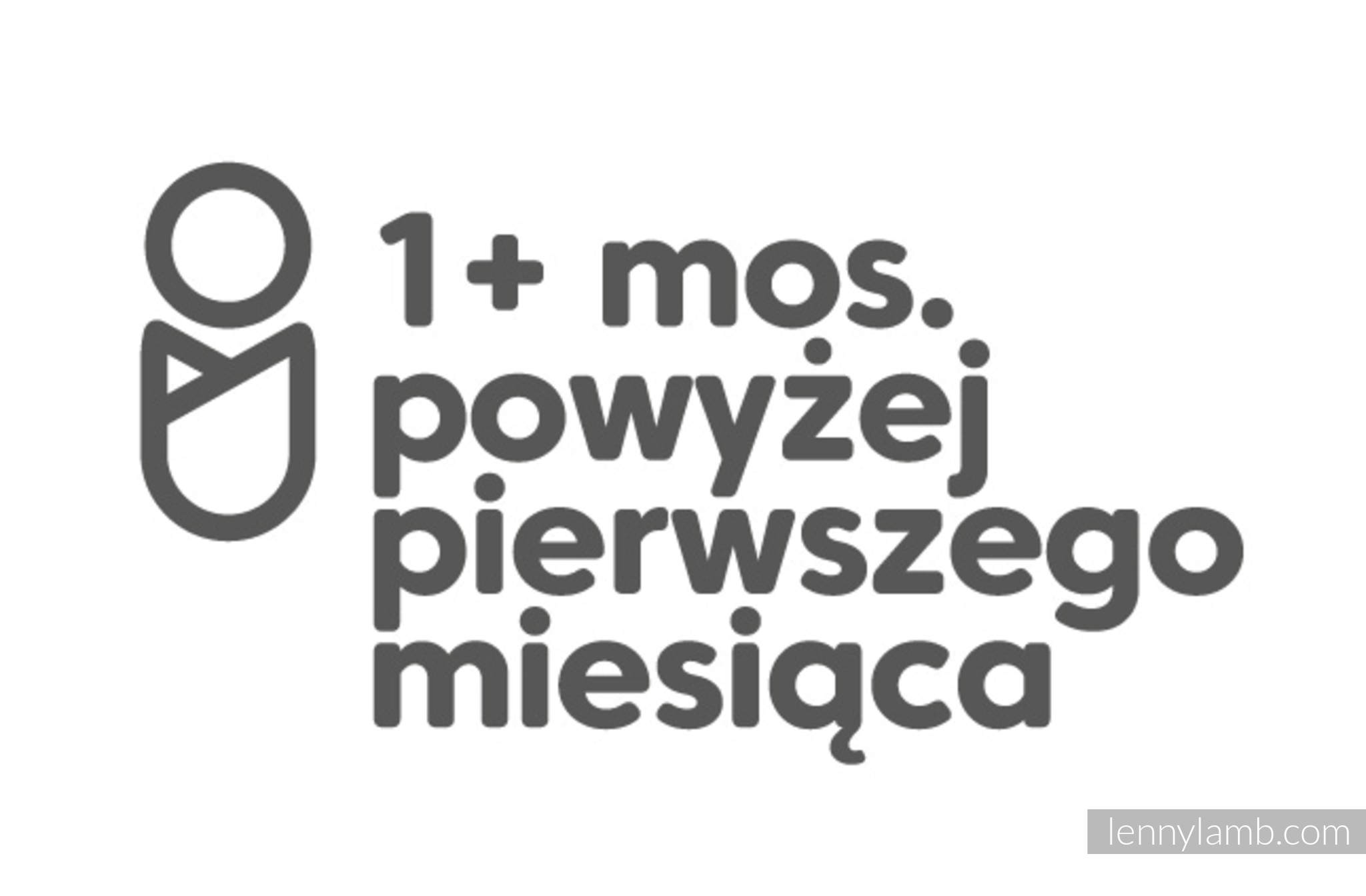 LennyLamb LennyUpGrade in Oasis - Image 4