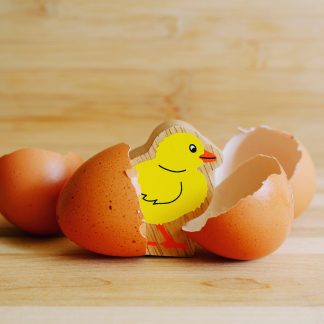 Lanka Kade Natural Yellow Chick