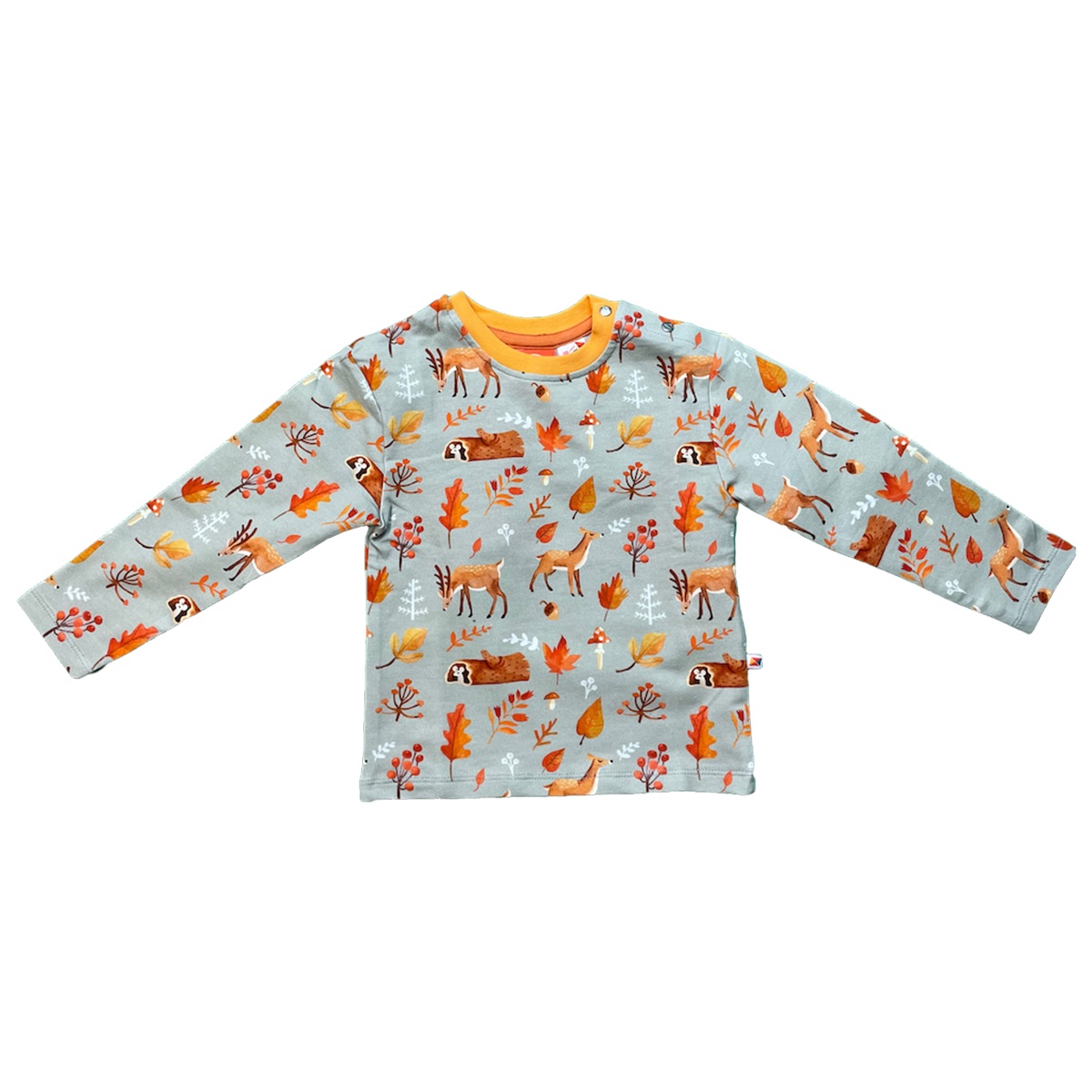 Curious Stories Long Sleeved Top in Forest