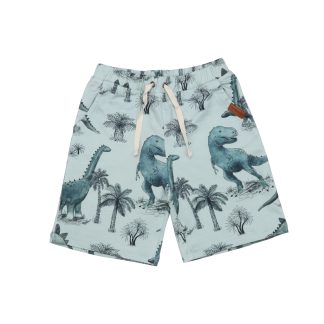 Walkiddy Dinosaurland Shorts (Size 128 Only)