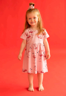 Curious Stories Flamingo Dress