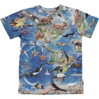 Molo Ralphie Amazing Earth T-Shirt (Size 104 only)