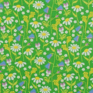 Duns Adult Twirly Dress in Summer Days Green