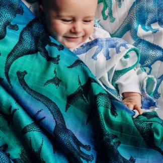 Blankets (including muslin)